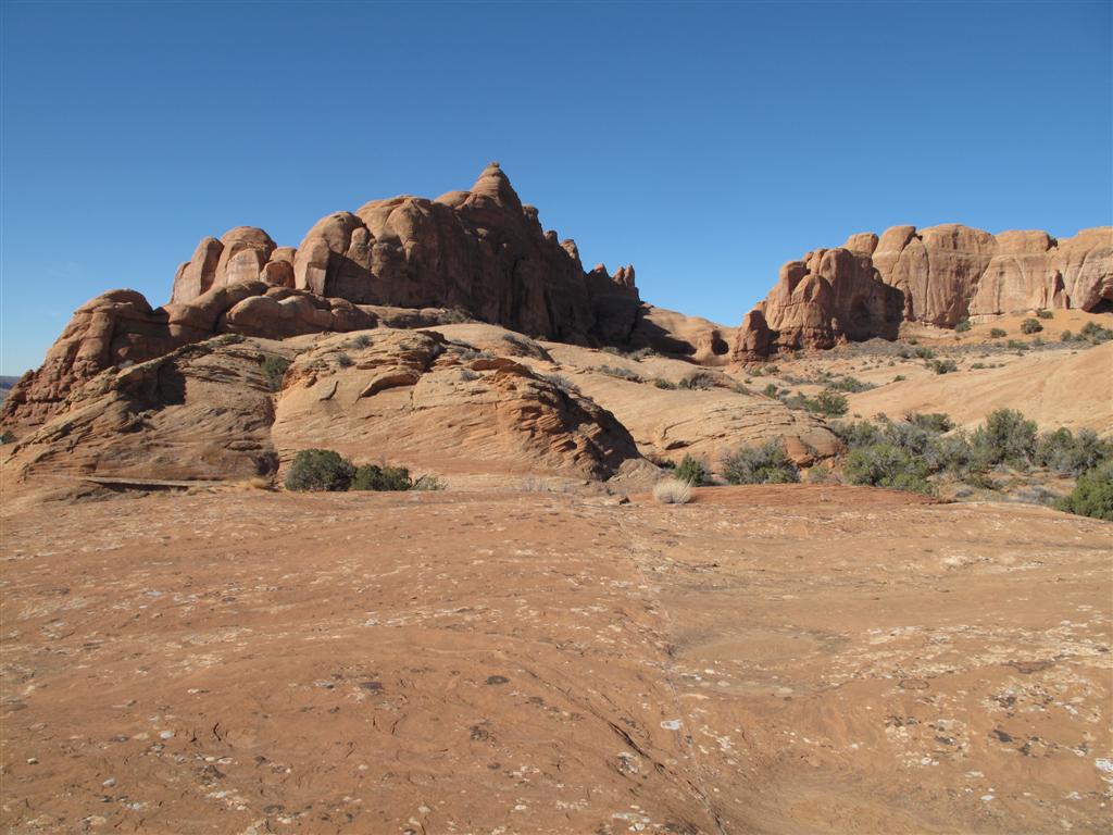 IMG_4483 (Large).JPG IMG_4483 (Large).JPG